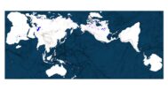 Earth model adapted with the AuthaGraph world map projection