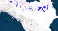 AuthaGraph map used in educational classroom materials