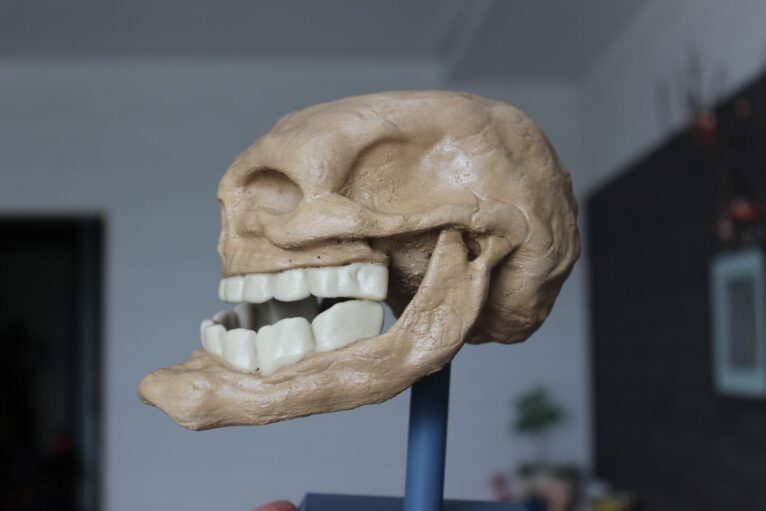 3D-printed Troll Face jawbone and skeletal parts, designed for snap-fit assembly